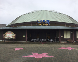 マザー牧場